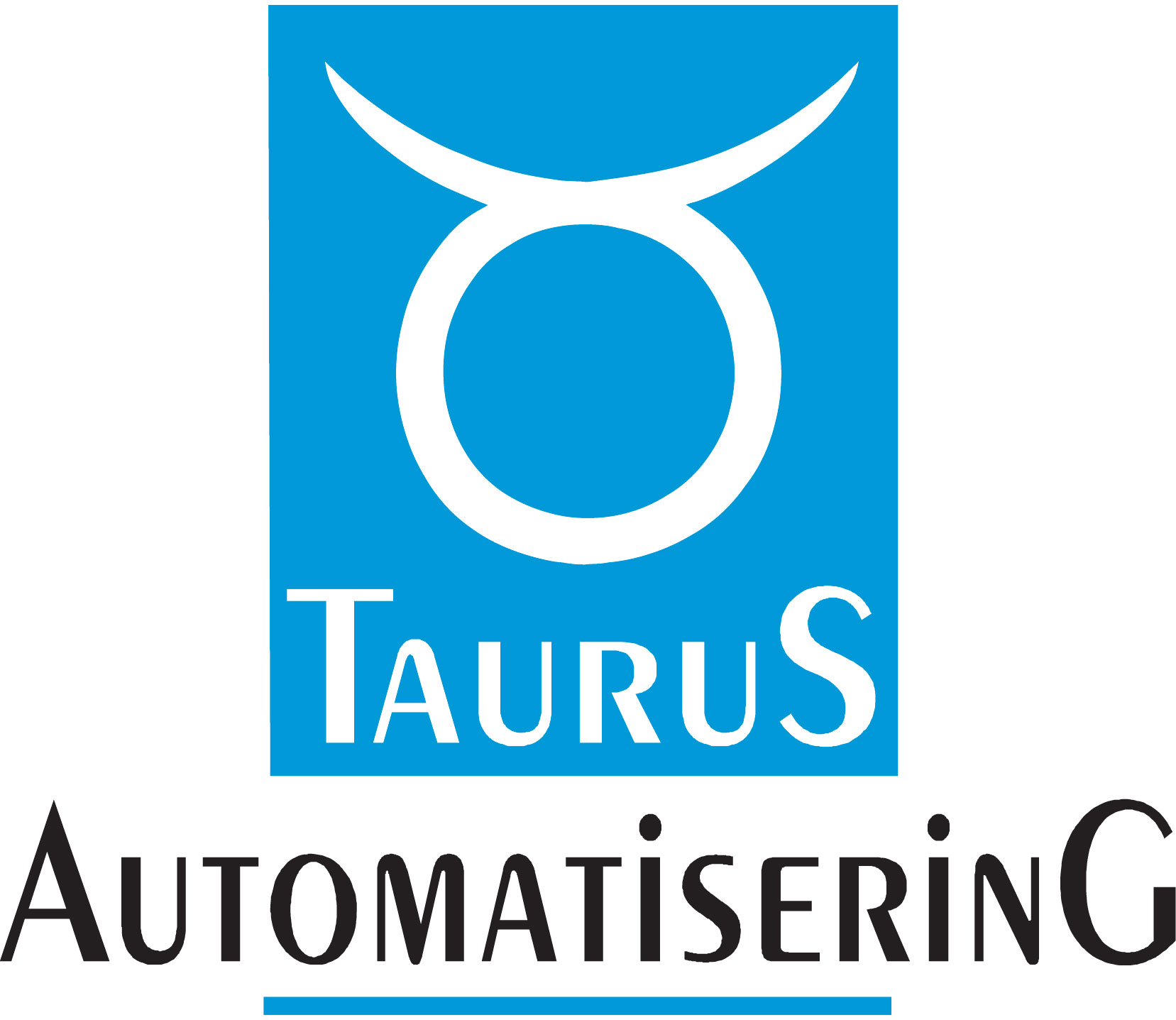 Taurus IT