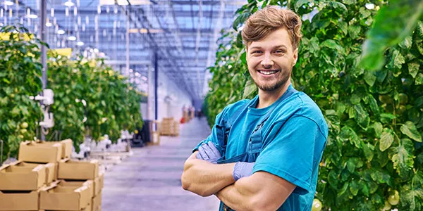 Zakelijk internet voor de agricultuur