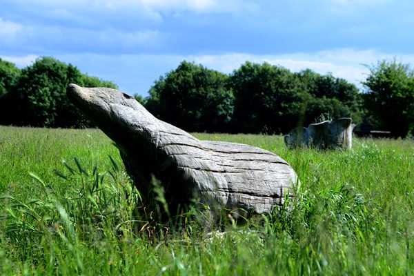 Wooden badger sculpture in Jacksdale village countryside