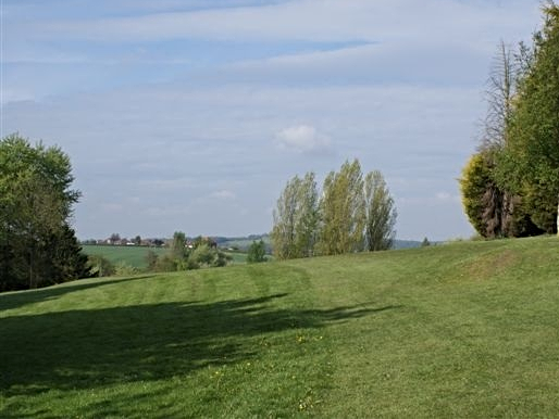 Ashfield countryside with grassland and trees