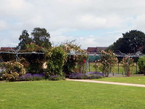 Park grassland and flowers at Kingsway Park