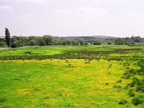 The lush, green countryside of Jacksdale village