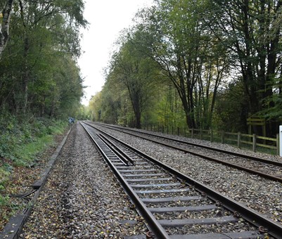 Railway track surrounded by trees