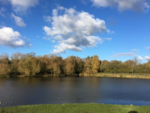 Codnor Park Reservoir with birds on the water