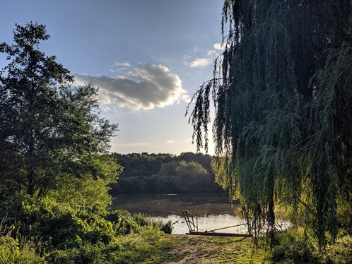 A circular lake area surrounded by trees in the sunlight