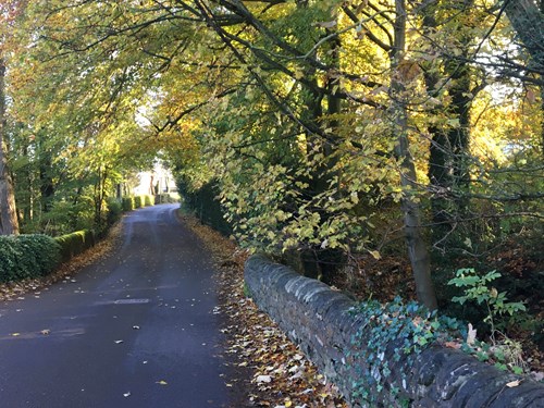 Bagthorpe village road surrounded by autumn trees