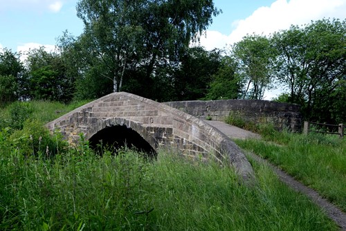 Stone bridge surrounded by trees and grassland