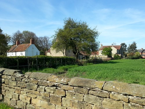 A stone wall and houses in the countryside of Teversal village