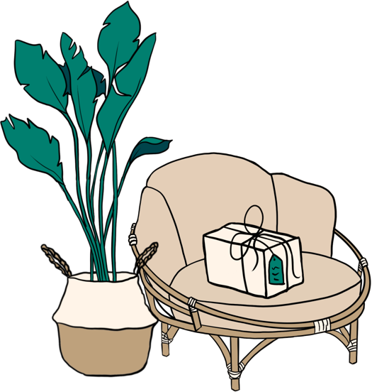 Plant and chair