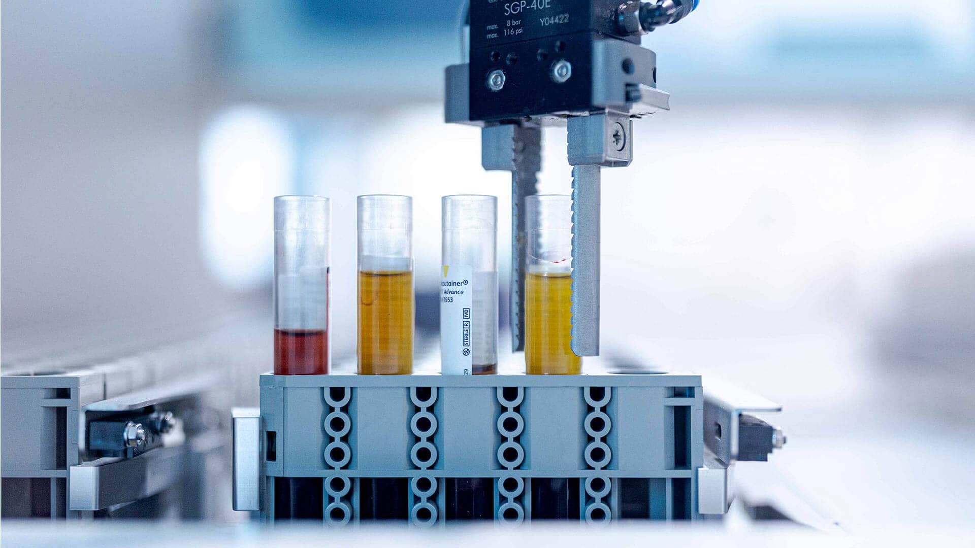 North's Clinical Analysis Laboratory Joaquim Chaves Saúde