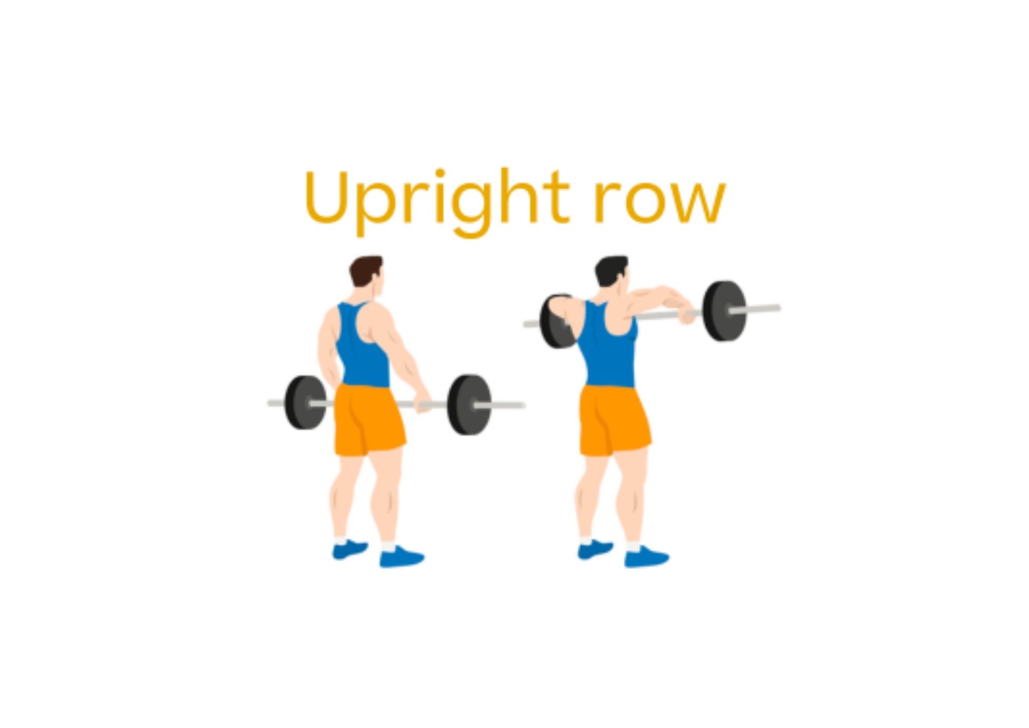 Step by step how to do upright row in gym 