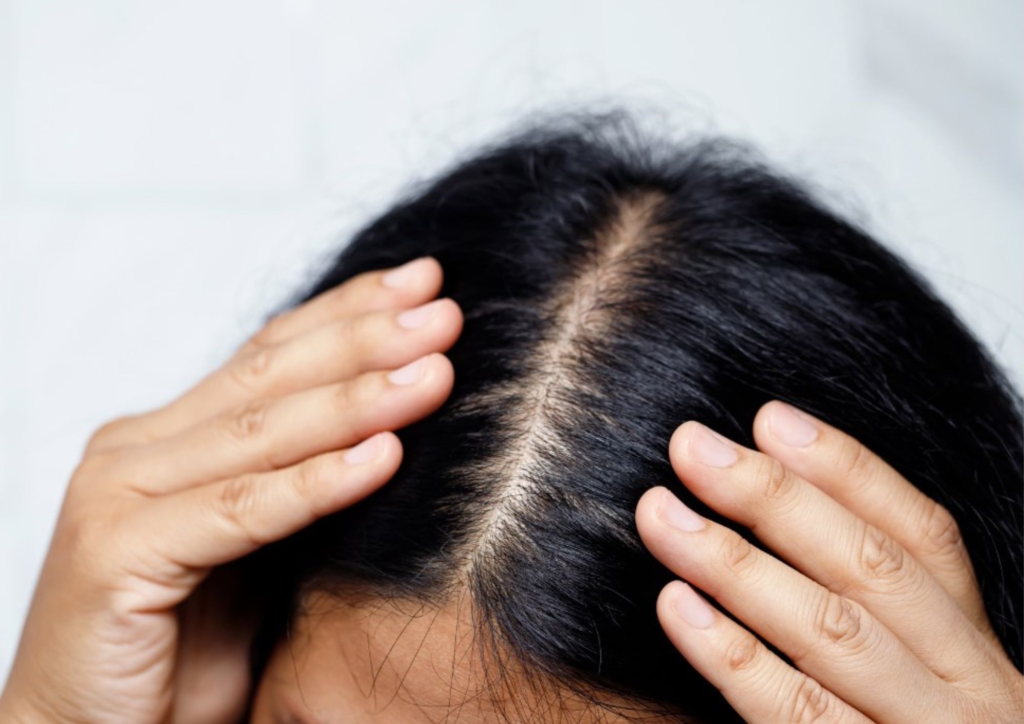 Pall Mall Fallback Image