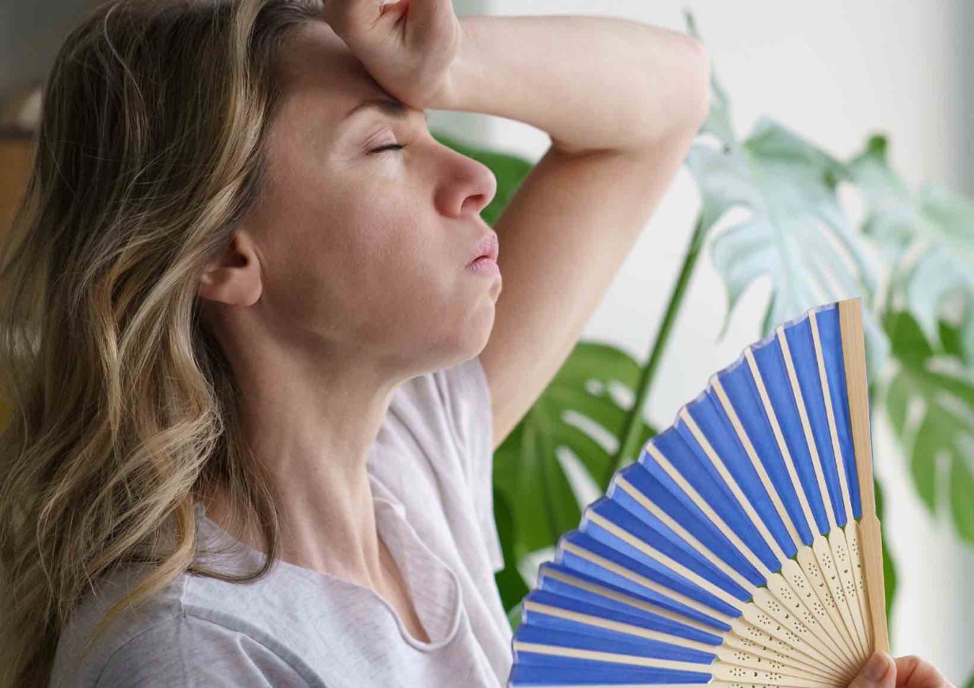 Pall Mall Fallback Image