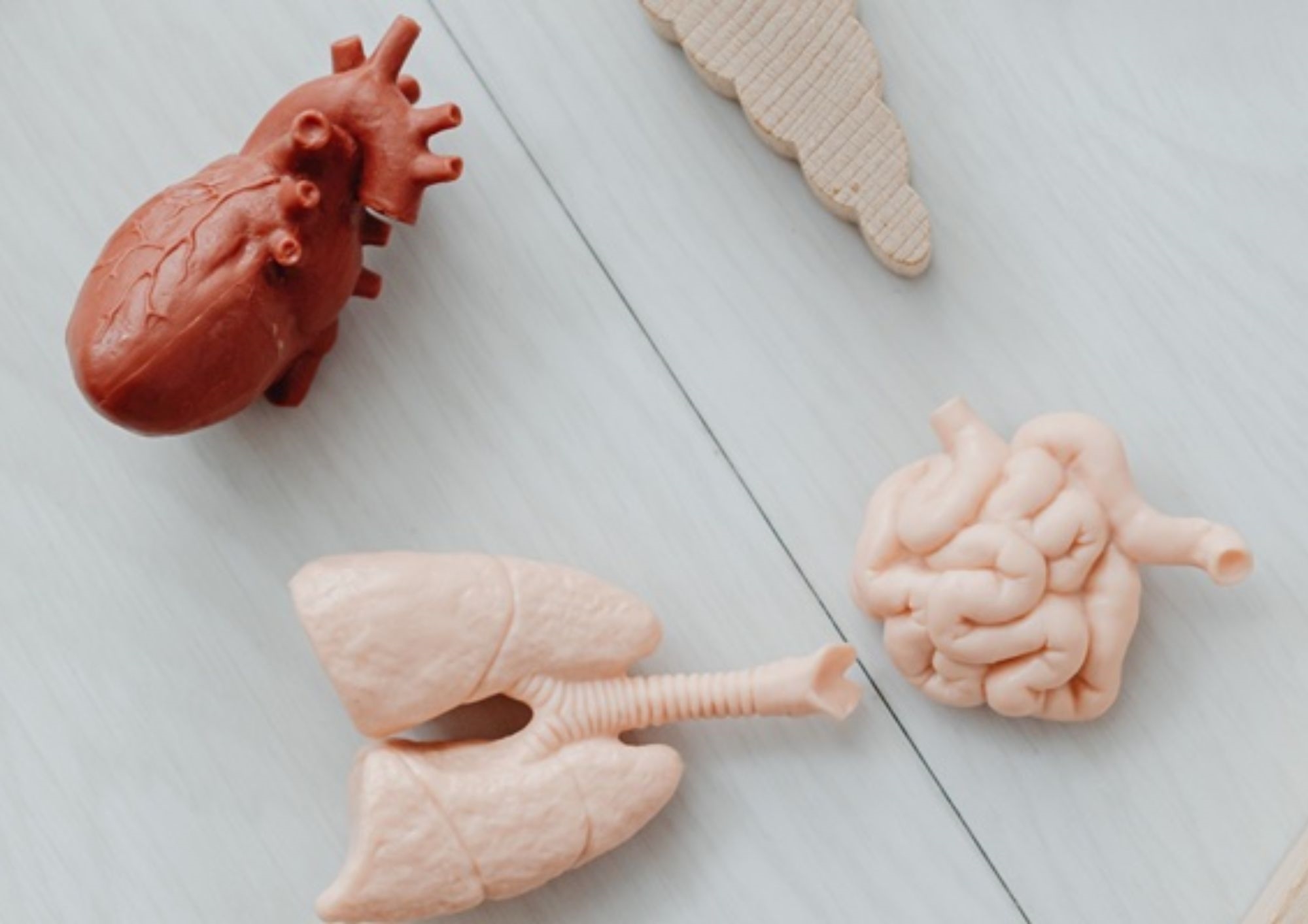 Pall Mall Fallback Image