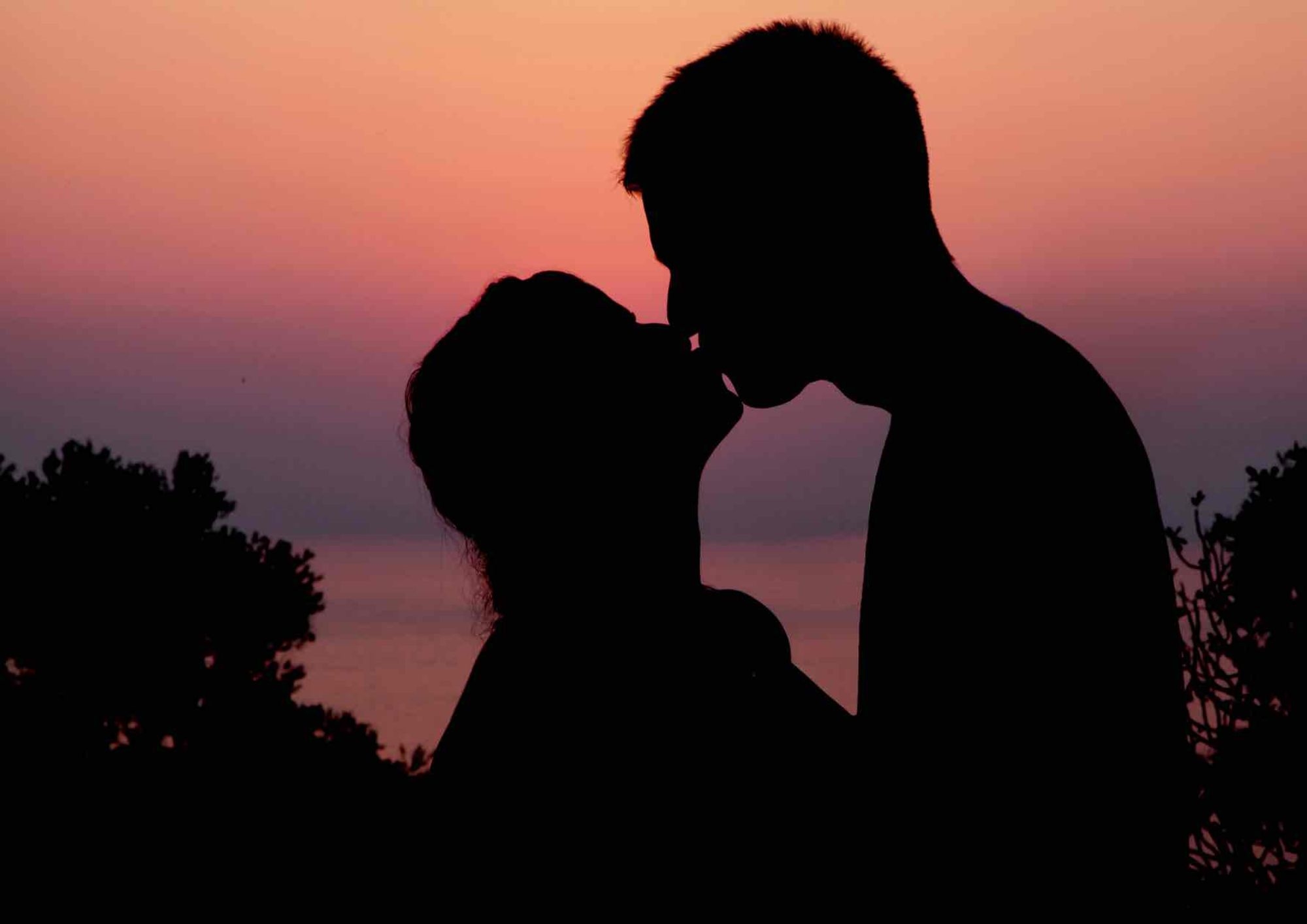 Pall Mall Fallback Image