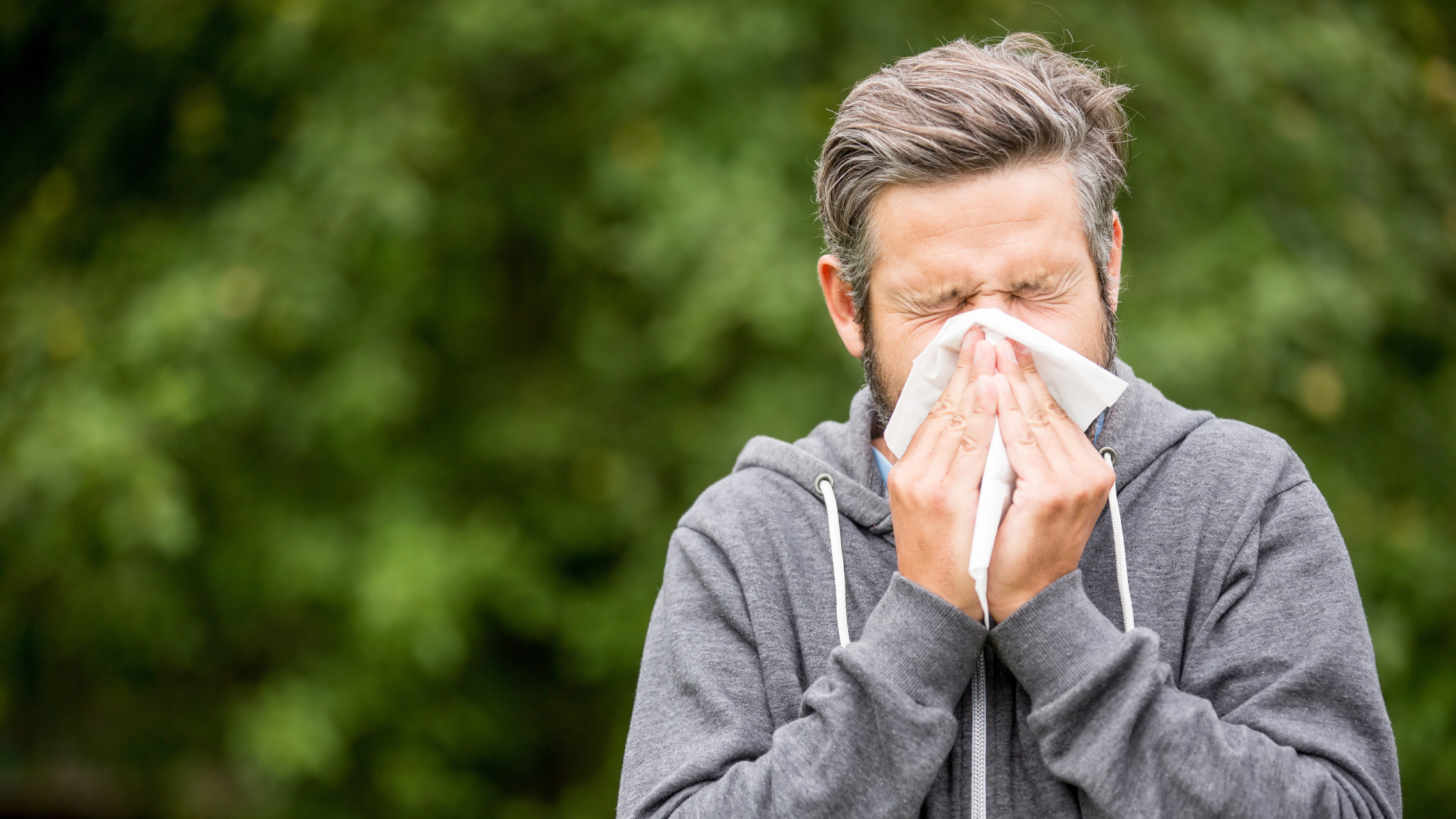 Pall Mall Fallback Image