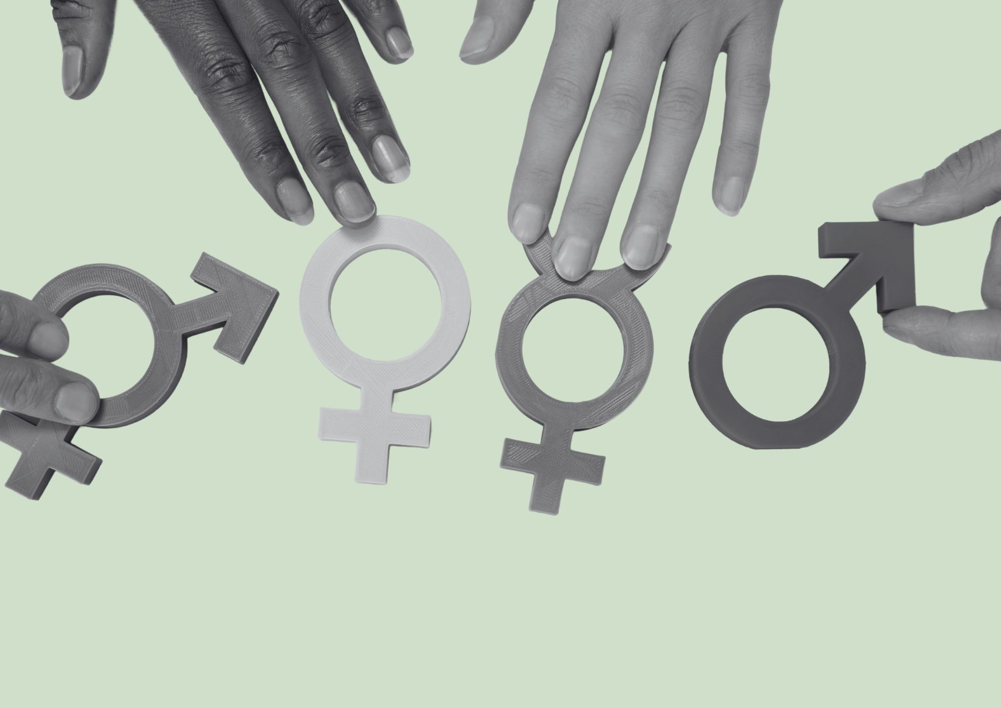 Pall Mall Fallback Image