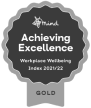 Mind Achieving Excellence Logo