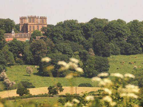 Hardwick Hall from a distance surrounded by trees, grassland, and flowers