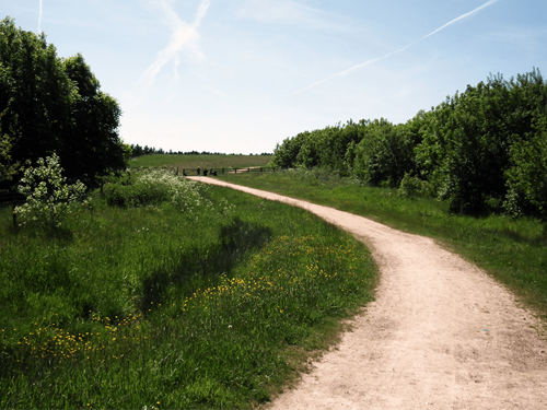 A winding pathway on a trail surrounded by trees and grassland in Teversal village