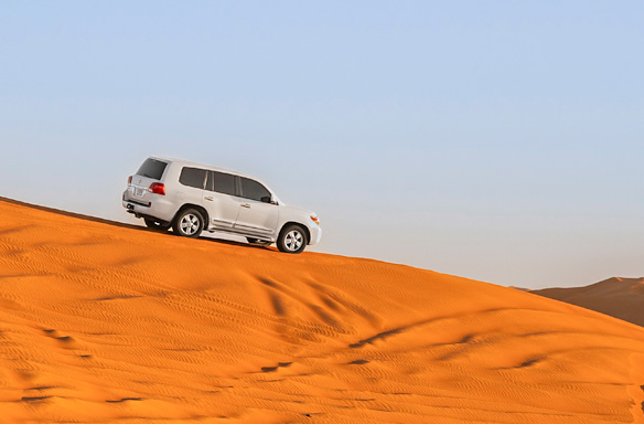 Desert Safari image