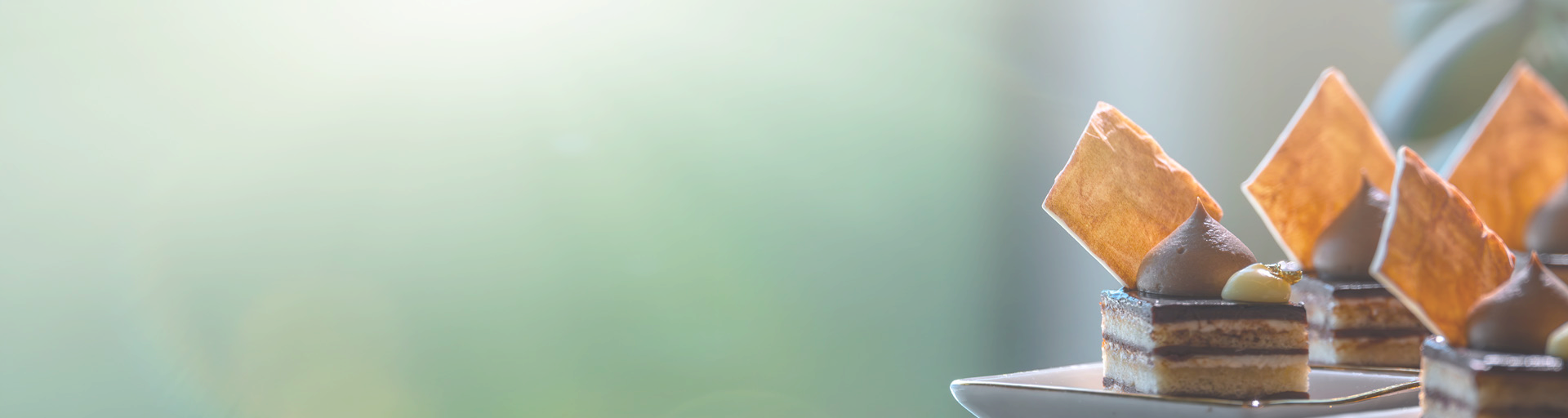 Layered chocolate and vanilla cake slices topped with chocolate mousse and amber-colored tuiles.