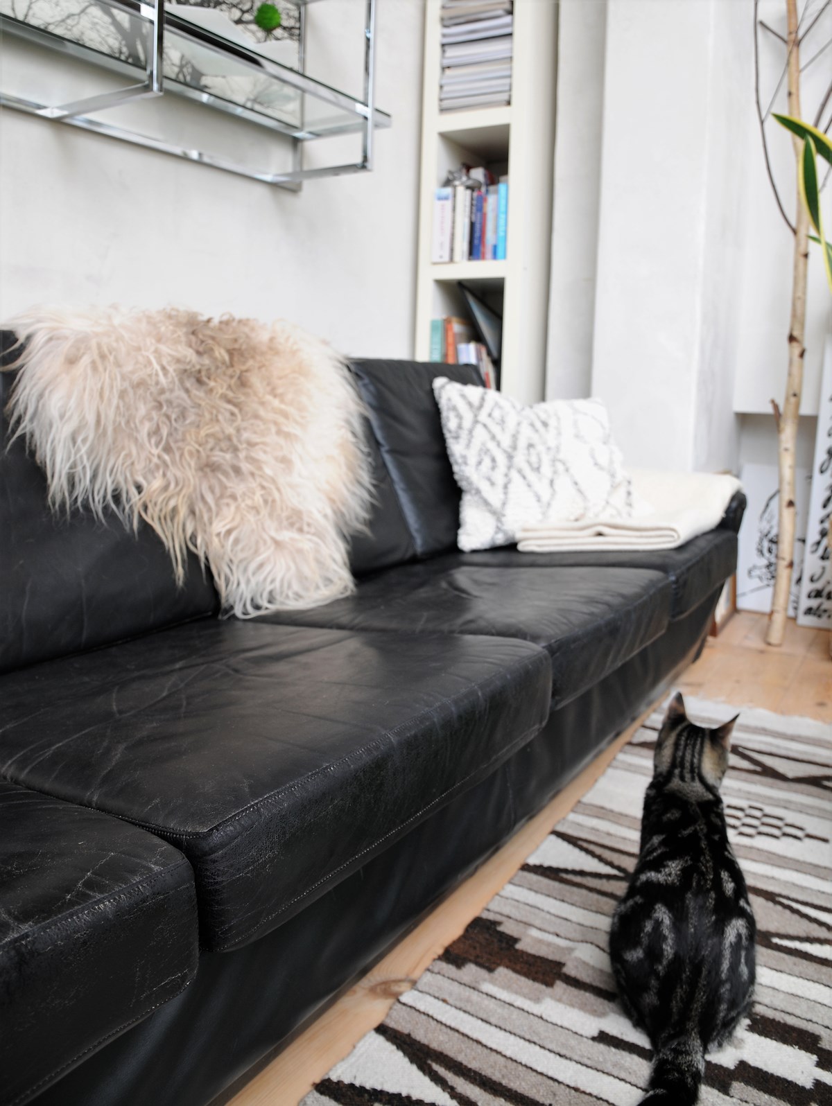 Sofa betræk DIY | Sådan shiner du dit læderbetræk op