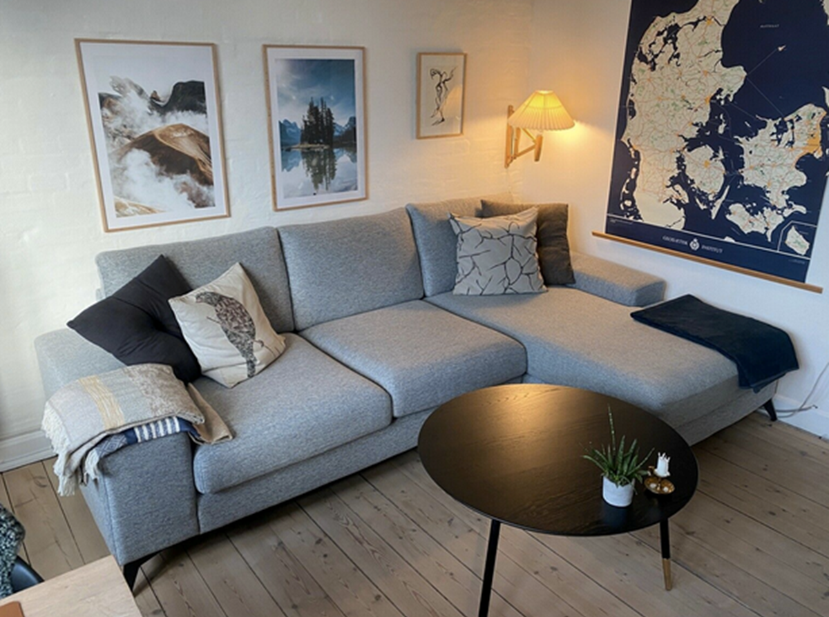 I februar sidste år var det ’sofa’, som flest personer søgte efter på DBA. Billedet af denne sofa er taget fra DBA, hvor den i skrivende stund er til salg. Det er Michael fra Horsens, der håber at komme af med den i bytte for 5.200 kroner.