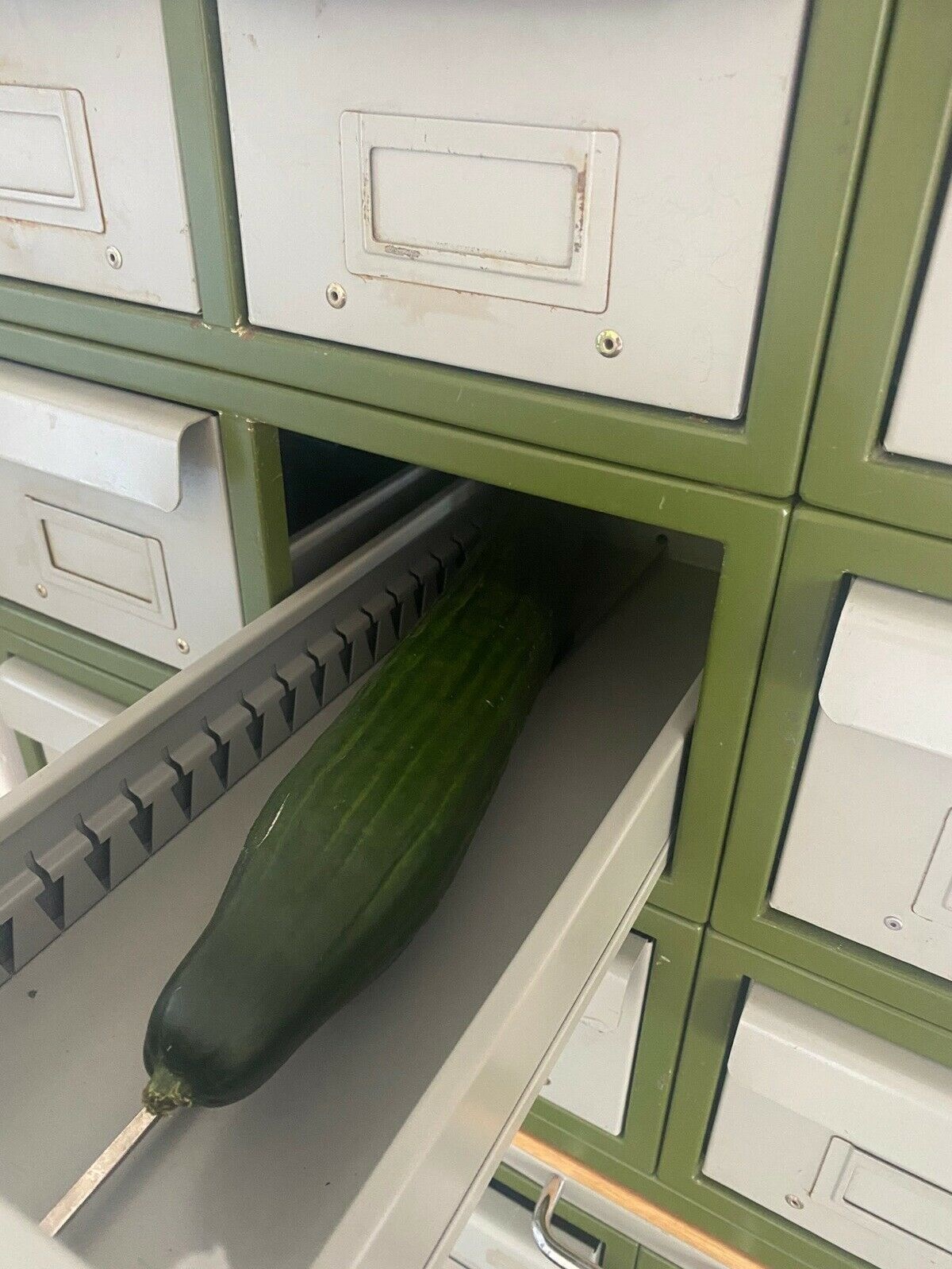 I annoncen har sælger naturligvis dokumenteret, hvor velegnet møblet er til opbevaring af agurker.