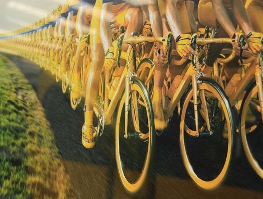 Tour de France-feberen har ramt: Brugte cykler hitter på DBA
