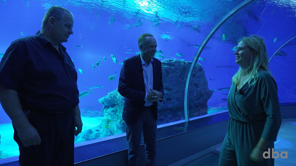 Ja, den er god nok. Hammerhajen var til salg på DBA. Her ses Den Blå Planets direktør i midten af billedet, mens dyrepasser-lederen Lars Skou Olsen er til venstre i billedet.