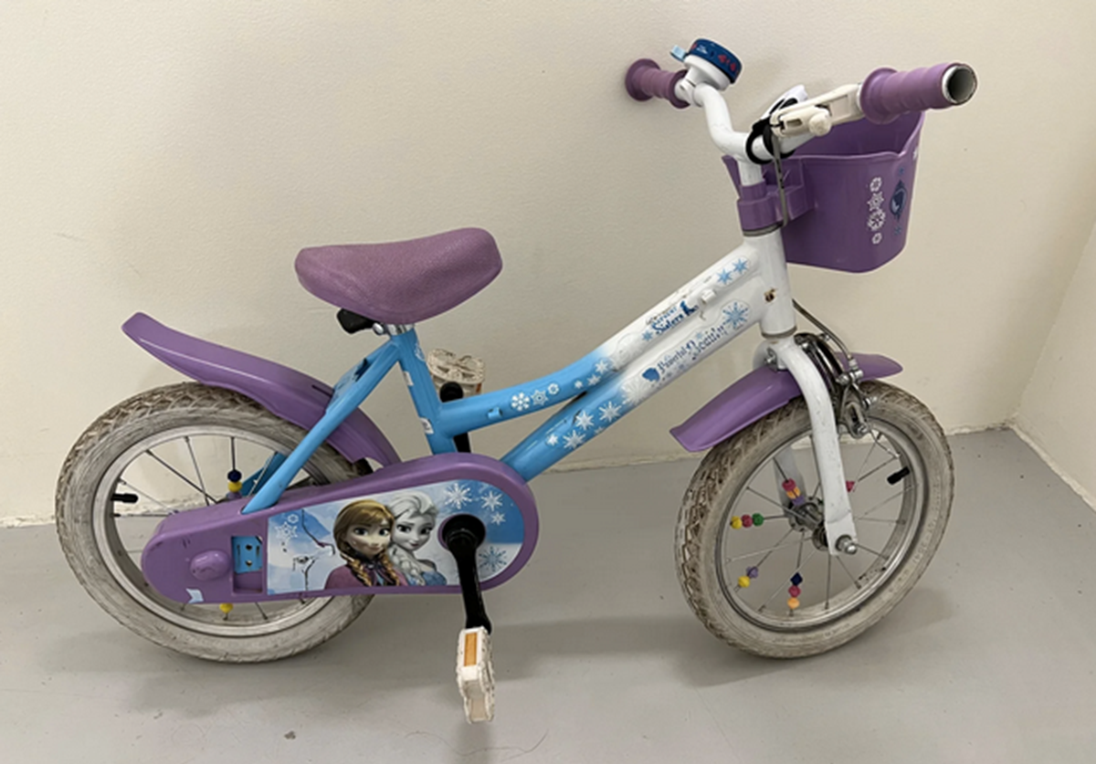 DBA 2022: Disse brugte cykler oftest sat til salg