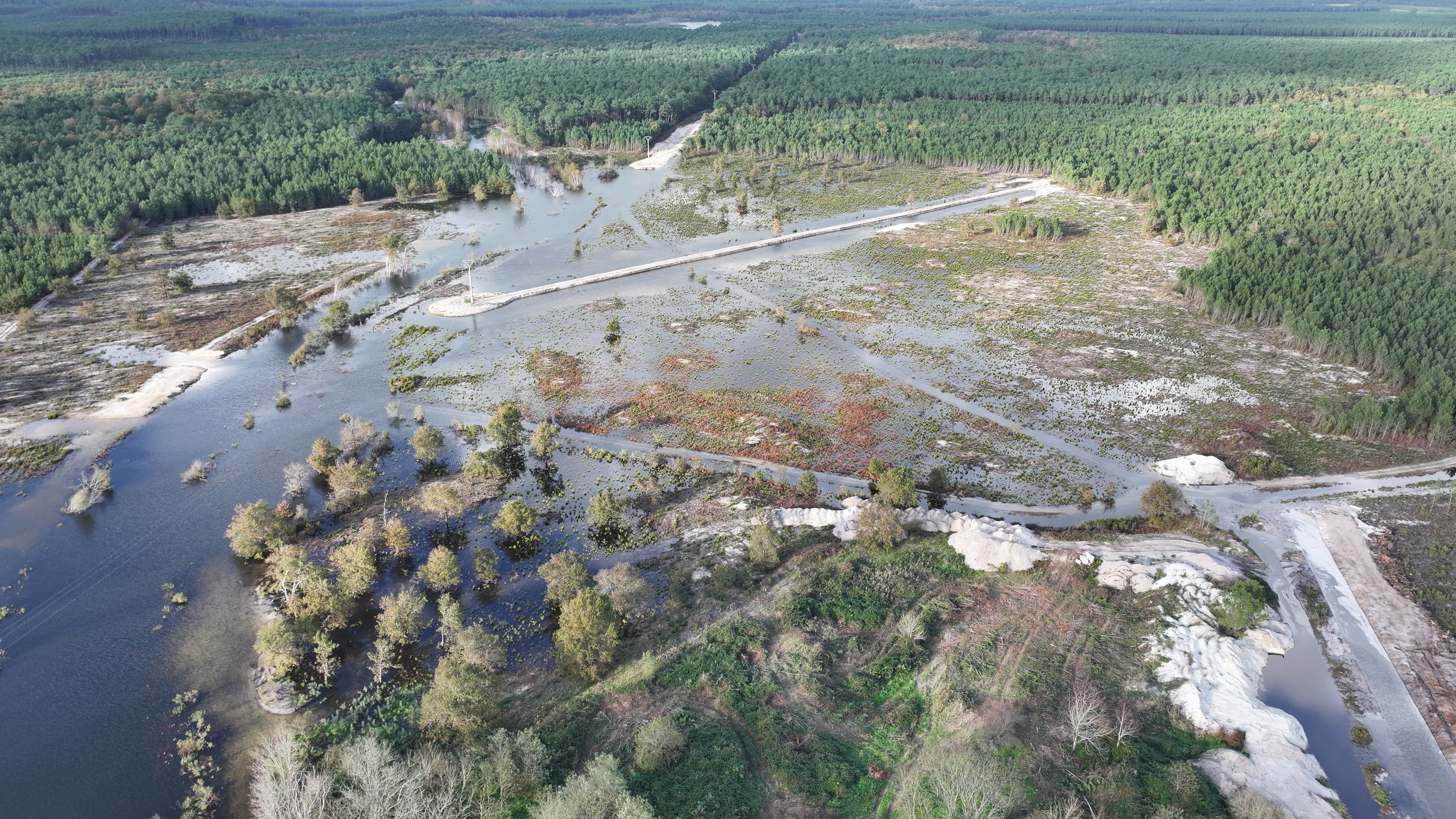 marais de ilette - gironde
