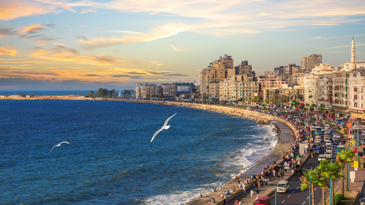 السفر إلى الإسكندرية مع flyadeal