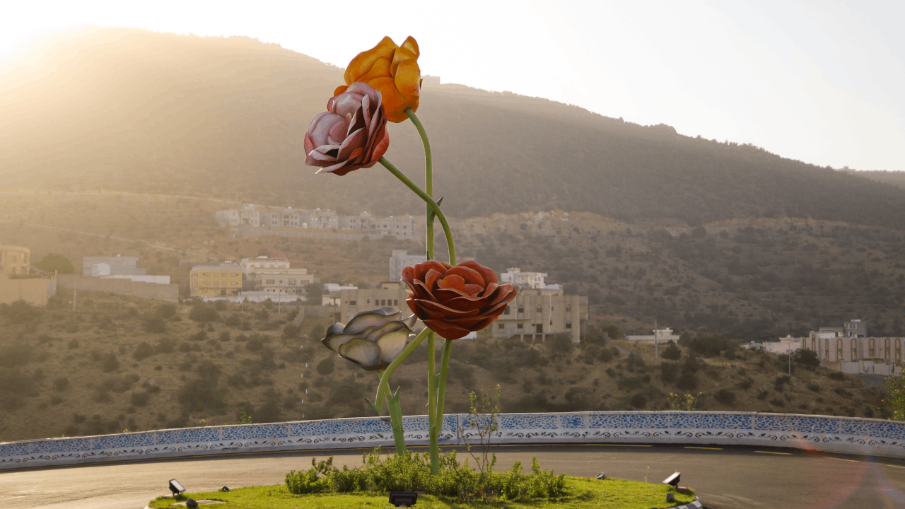 الباحة مع طيران أديل