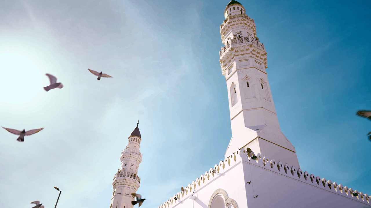 رحلات المدينة المنورة مع طيران أديل