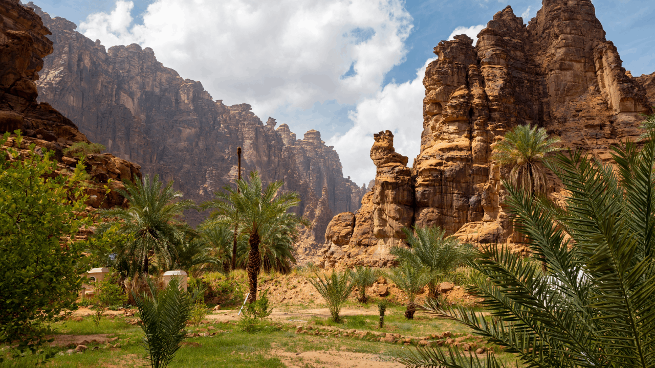 طيران أديل إلى تبوك