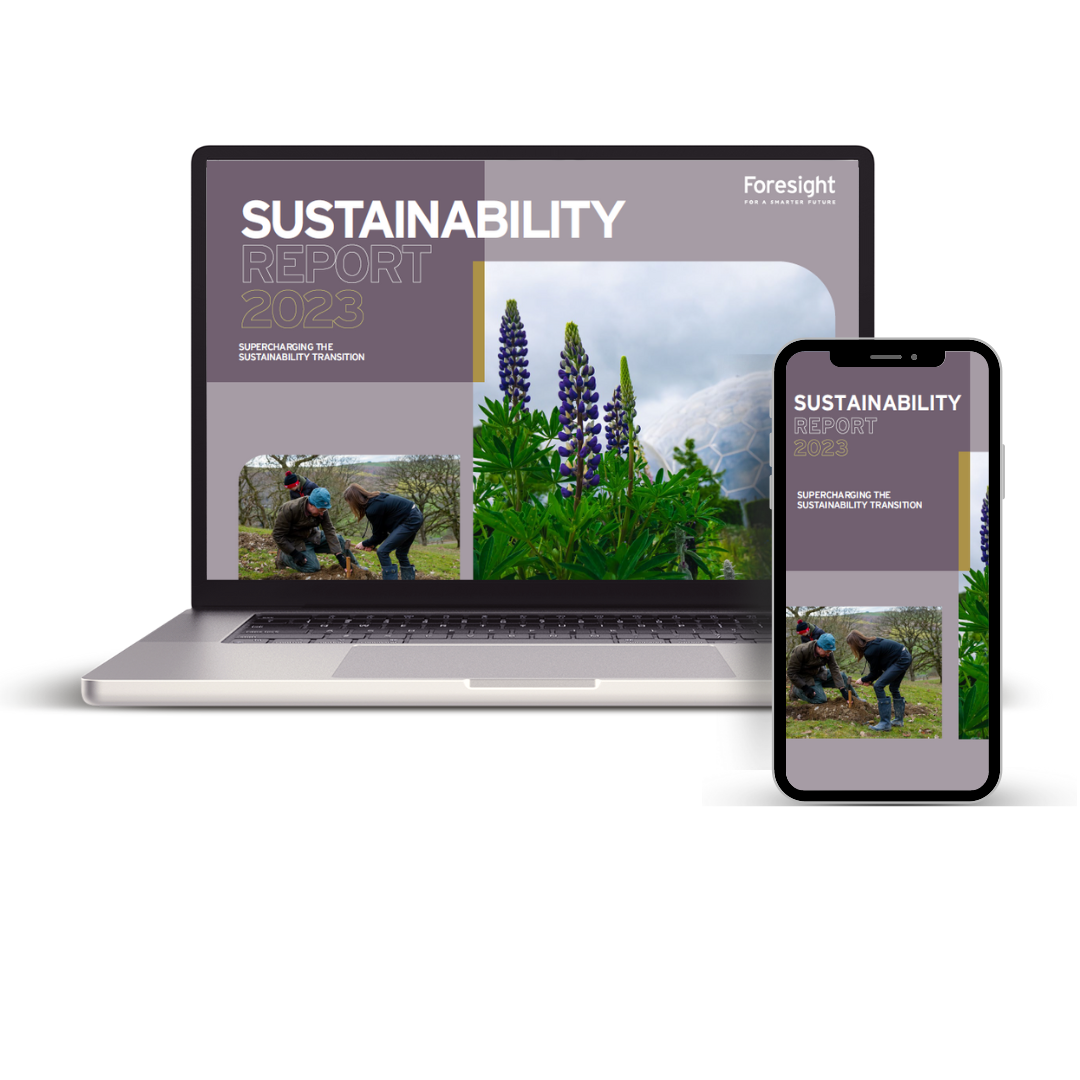 Foresight's Sustainability Report | Foresight Group