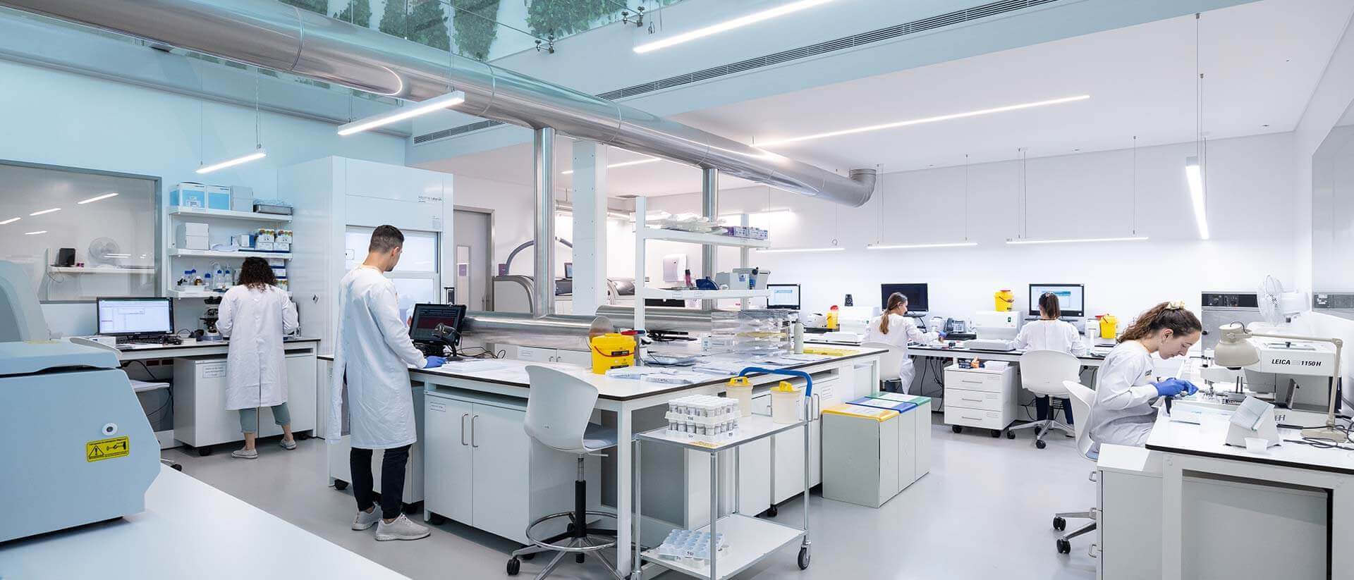 Laboratory of Pathological Anatomy
