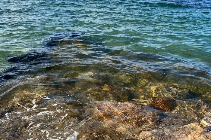 Enjoying the great outdoors on wheels