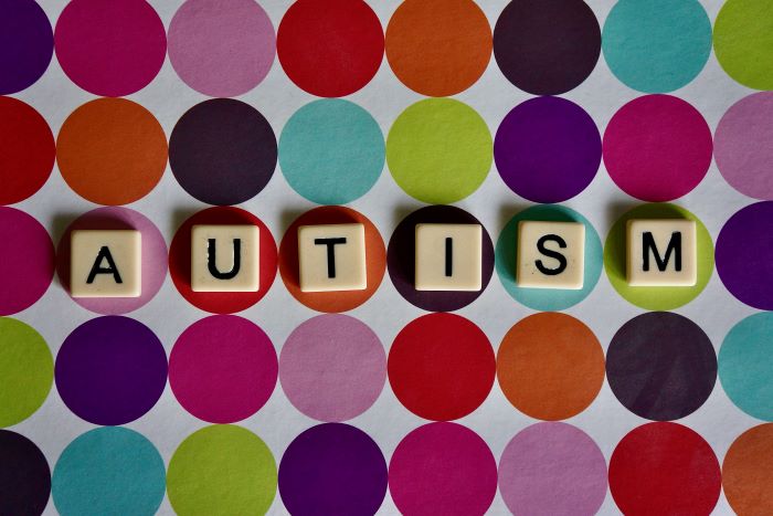 Senate Select Committee recommends National Autism Strategy