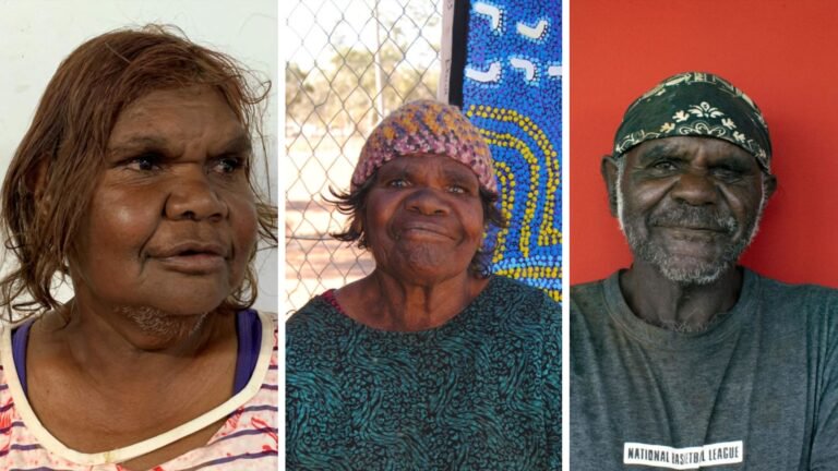 NDSP Celebrates the Work of WA Indigenous Artists