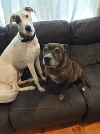 Tina Kraja Feature Pic