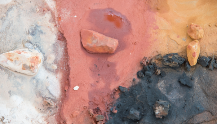 My Plan Manager supports diversity and cultural identity