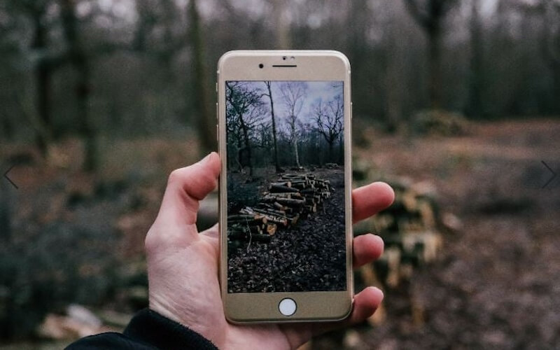 Person holding up an iPhone 8 with the camera app open, taking a picture in the woods.