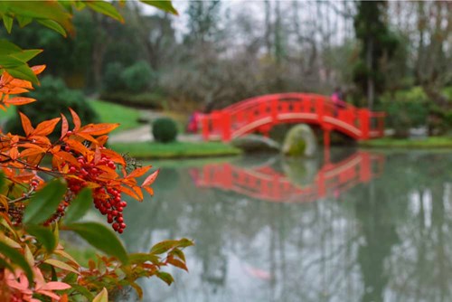 Pont rouge du Jardin Japonais Pierre Baudis