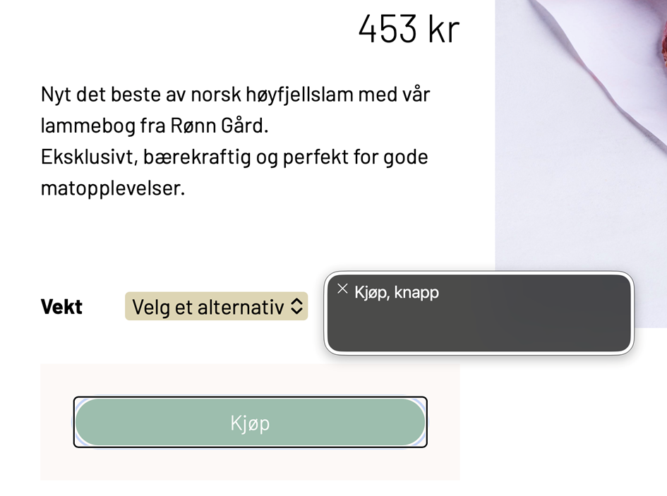 Voiceover med foksu på kjøp knapp, visuelt er denne knappen nedtonet men det kommuniseres ikke til voiceover. "Kjøp, knapp" annosneres