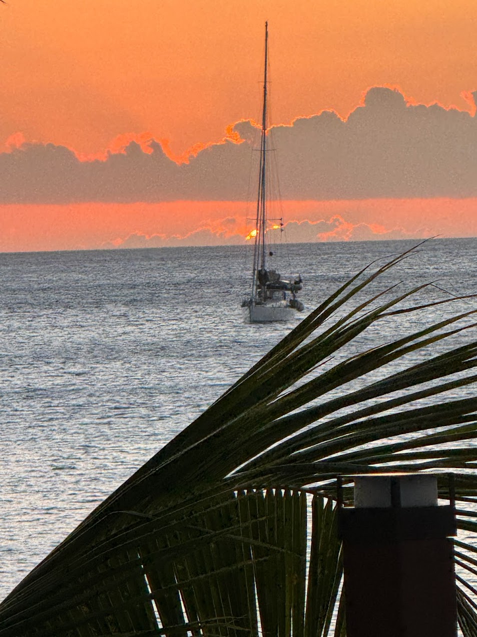 TicketPulse Montserrat