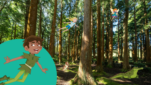 Neverland explorer challenge