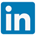 Linkedin Sylvester de Koning